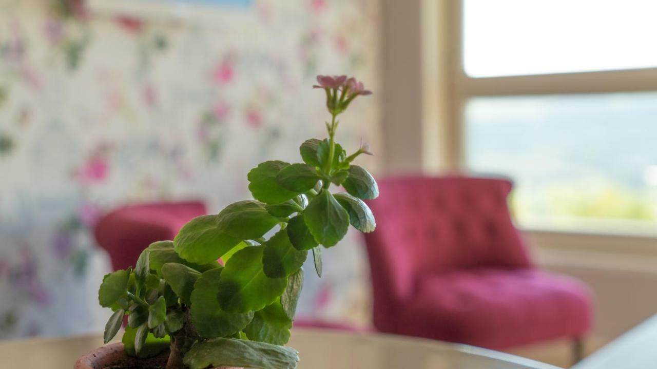Le Petit Nid*** Holiday home Amance (Meurthe-et-Moselle)